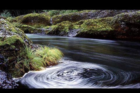 Life Force