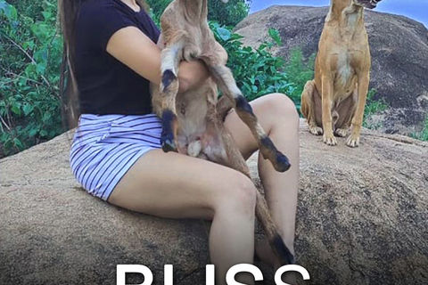 BLISS OF LOVE: Book Of Poetry By WILLIAMSJI MAVELI 