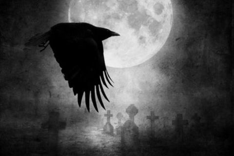 Cemetery Crows