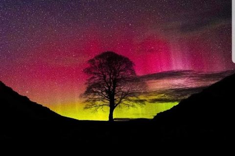 Sycamore Gap