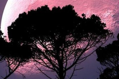 Constancy and Humility