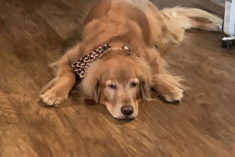 Her Daddy’s Away