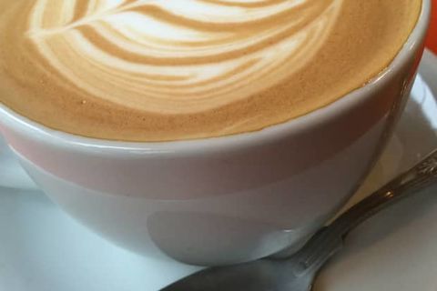 THE AROMA OF LIFE 