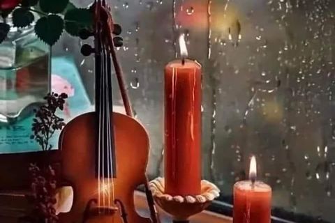 The violin and the candles and the rose