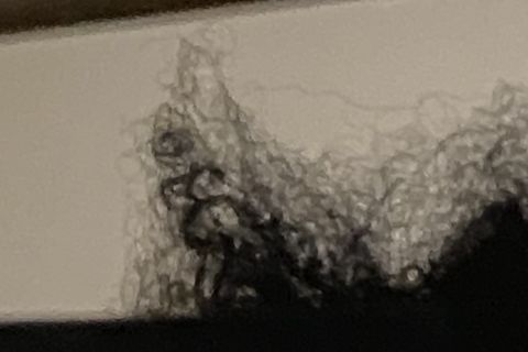 Man
