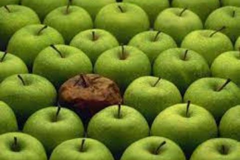 Apple Sauce