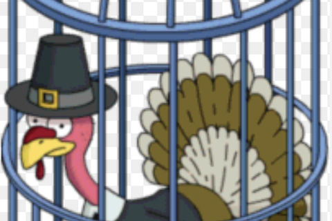 Turkey Hostage! 