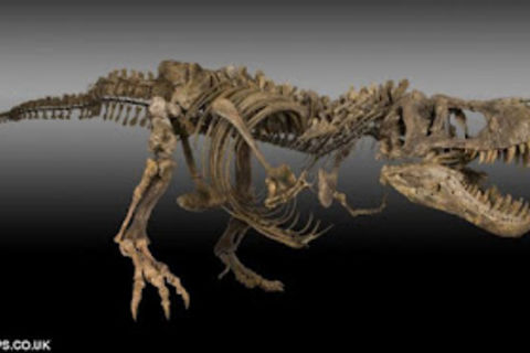 Extinction Event