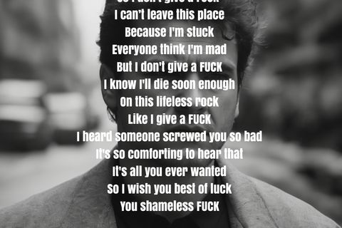 I Don't Give A F**K