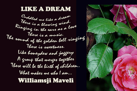WILLIAMSJI MAVELI POEM 