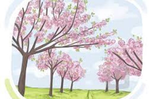 Pleasant spring like day February 9th, 2024