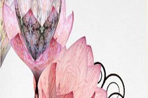 APRIL LYRICS : LOVE BLOSSOMS