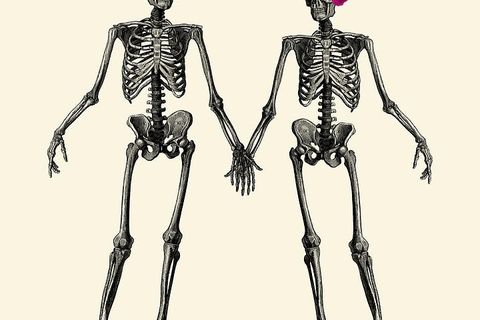 A Very Fine Romance 