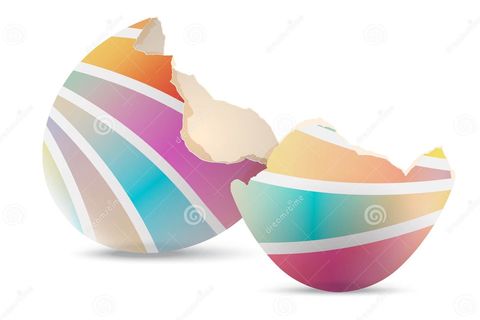 Egg Shells