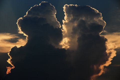 Transient beauty