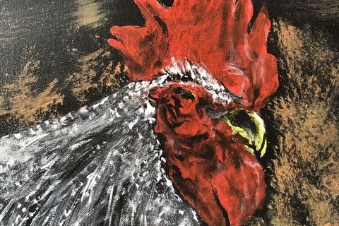 Rooster 