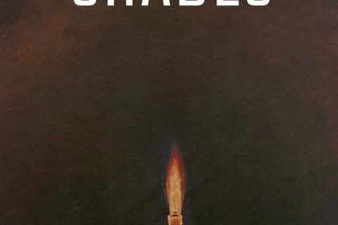 SHADES : Williamsji Maveli Writes....