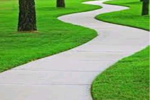 LIGHT OUR PATH 