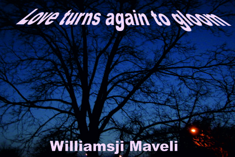 LOVE TURNS AGAIN TO GLOOM 