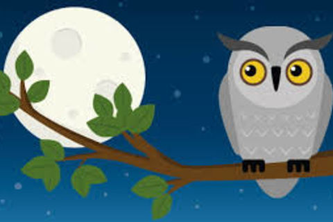 On becoming a night owl...,