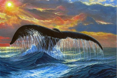 A Whale of a Time 