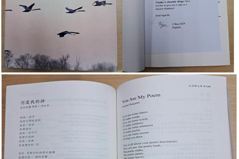  A Tribute To Poet Yiyan Han's Poetry Collection (Thinker's Invisible Wings - 101 Chinese-English Bilingual Poems)