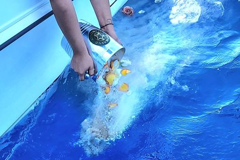 ASHES ON THE WAVES 
