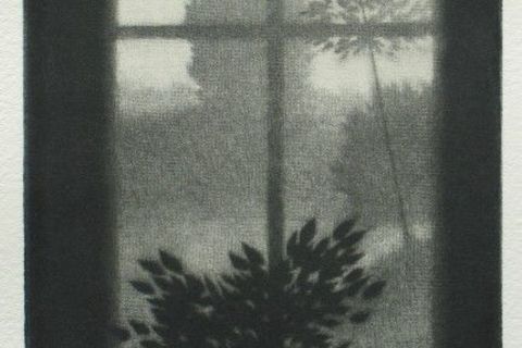 the odd moment of beauty
