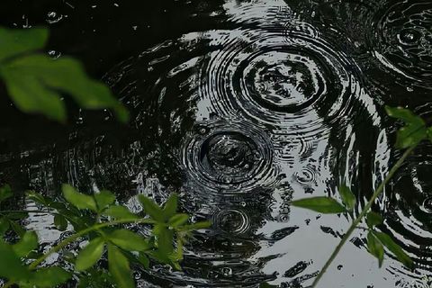 Ripples on the Water