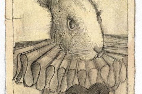 Even rabbits...