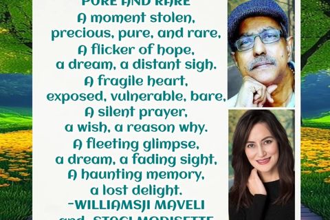 COLLABORATIVE POETRY : PURE AND RARE : WILLIAMSJI MAVELI & STACI MODISETTE 