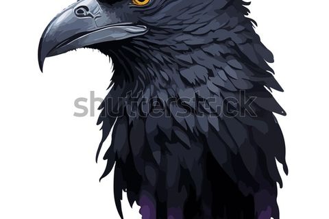 Ravens