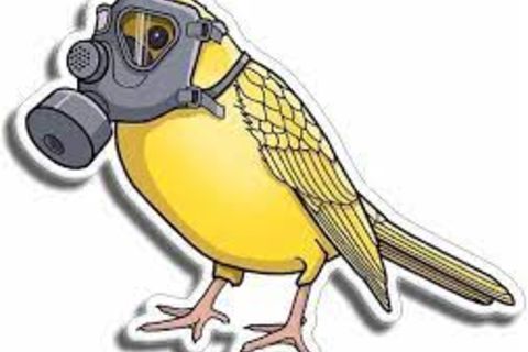 Hit Fowl