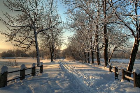 The Serenity of Snow