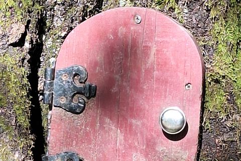 Fairy Doors