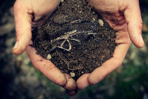 The Burden of Soil