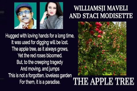 WILLIAMSJI MAVELI CO-WRITES WITH STACI MODISETTE 
