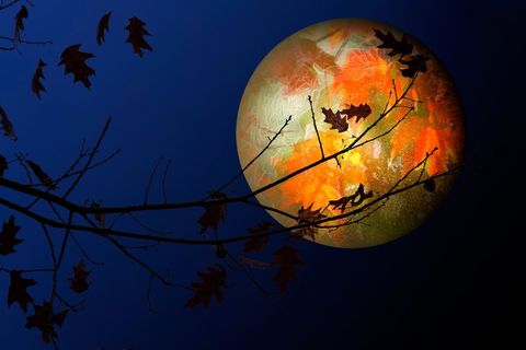 The Silent Night and the Colorful Moon