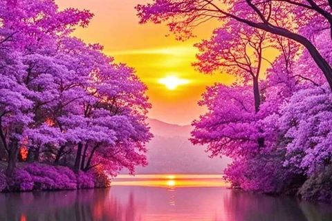 Stillness...leaving