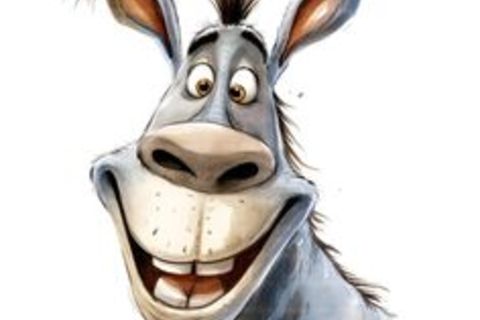 When a Donkey