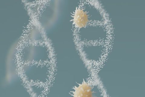 GOOD CELLS VS CANCER CELLS