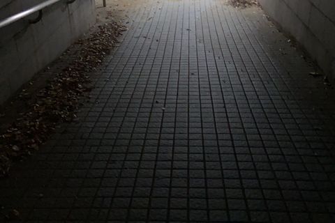 Solitude: Silence Screams 