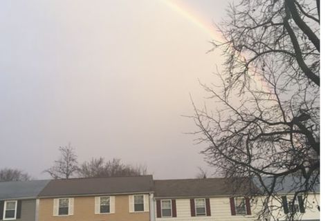 I Just Found Rainbow Today