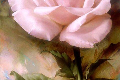 In The Name of a Rose 