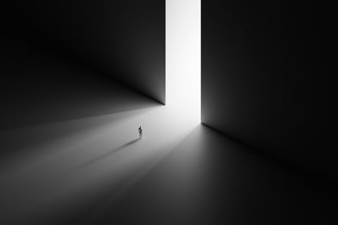 In Search of Light