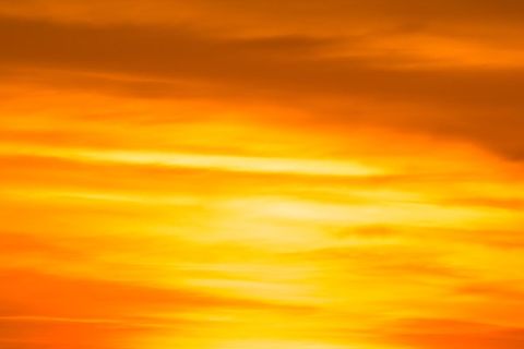 MAKE YOUR SUN