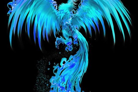 Like A Phoenix 