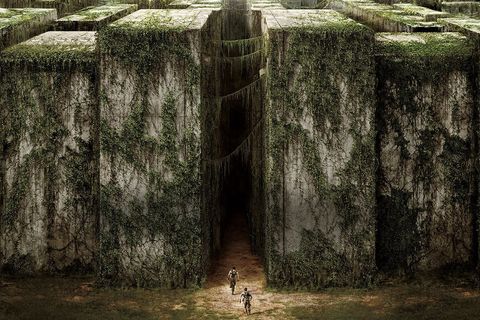 Maze Runner