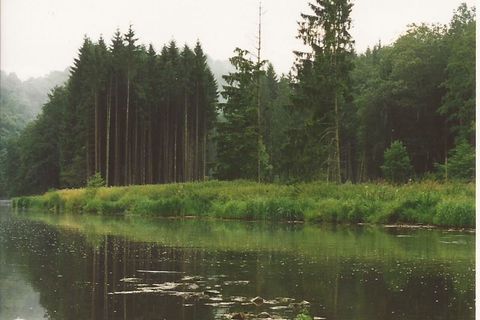 Sedges haver edges