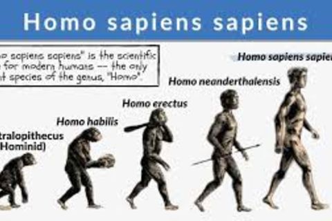 Yours truly like most every hominid linkedin...